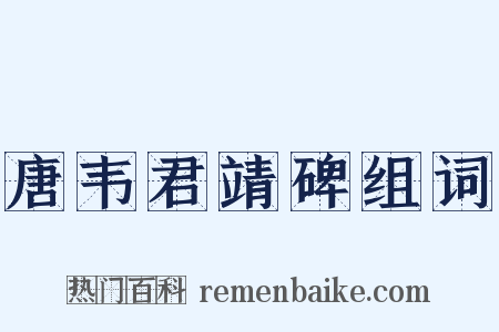唐韦君靖碑组词是什么意思的图片